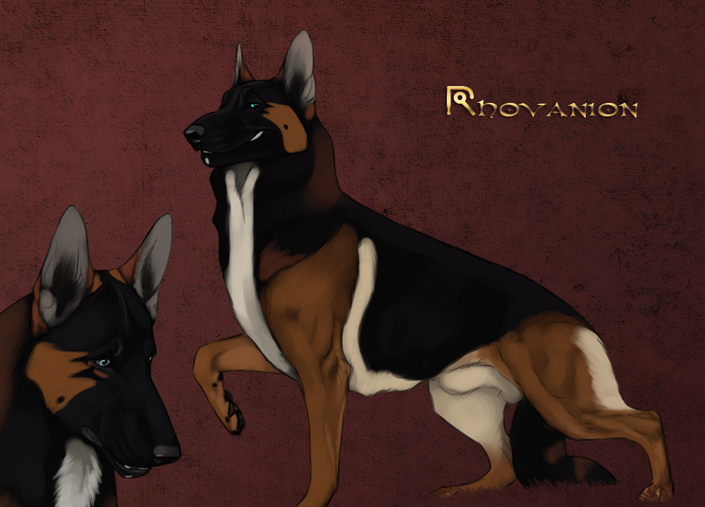 rhovanion_by_kique7.png