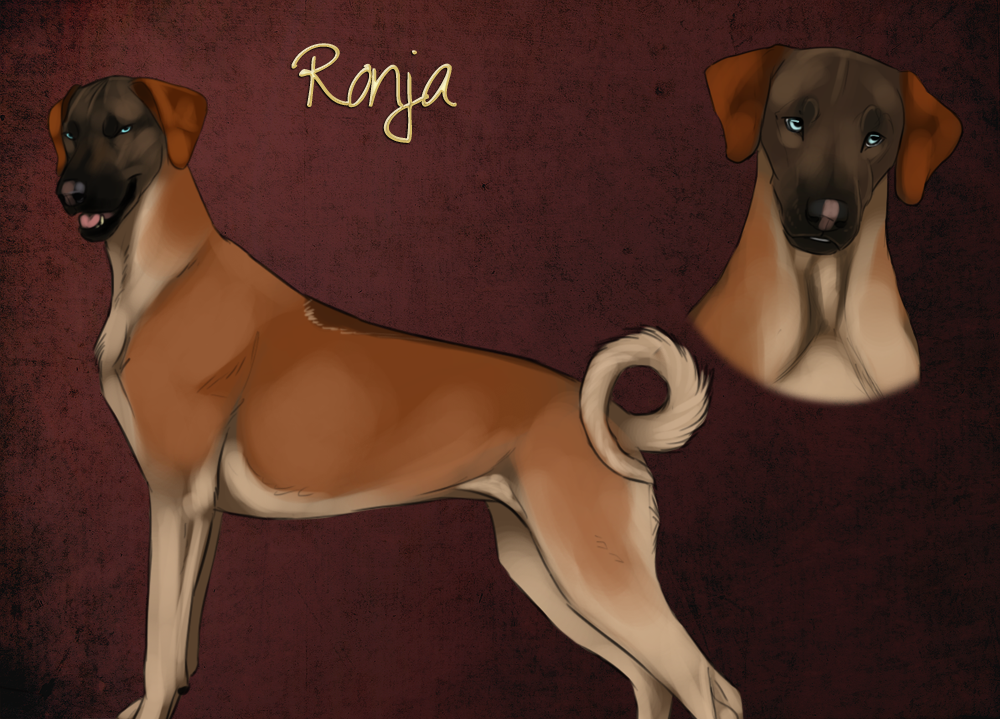 ronja_by_kique7.png
