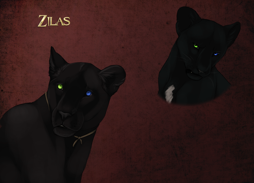 zilas_by_kique7.png