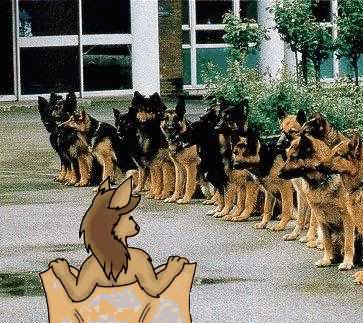 sci-fi:freefall:bonus-arts:won_tolla:doggy.jpg
