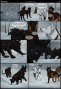 wolves:asmundr:0128.png