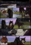 wolves:home:0118.png
